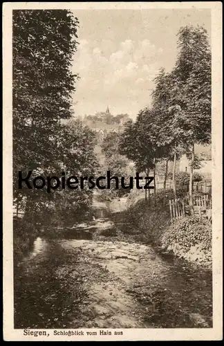 ALTE POSTKARTE SIEGEN SCHLOSSBLICK VOM HAIN AUS HOHLWEG ALTER WEG Schloss chateau castle Ansichtskarte cpa postcard AK