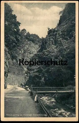 ALTE POSTKARTE HIRSCHSPRUNG IM HÖLLENTAL bei Breitnau Hinterzarten Schwarzwald Hirsch deer cerf black forest postcard AK