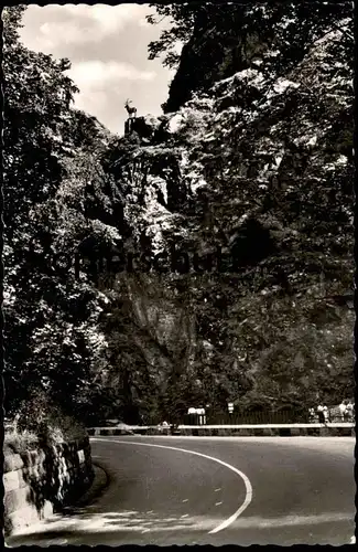 ÄLTERE POSTKARTE HIRSCHSPRUNG HÖLLENTAL bei Breitnau Hinterzarten Schwarzwald Hirsch deer cerf Besucher black forest AK