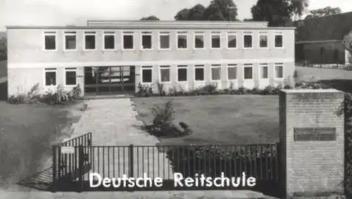 ÄLTERE POSTKARTE GRÜSSE AUS WARENDORF MARKTPLATZ REITSCHULE KIRCHE Vierspänner Attelage à quatre Four-in-hand Horse cpa