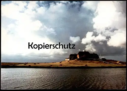 ÄLTERE POSTKARTE HALLIG HOOGE WESTERWARFT AUFNAHME UW OLDAG STEMPEL HEIMATMUSEUM Ansichtskarte AK cpa postcard