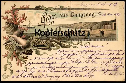 ALTE LITHO POSTKARTE GRUSS AUS LANGEOOG 1897 geschrieben von Otto Otten, No. 73 coquille coquillage Muschel shell cpa