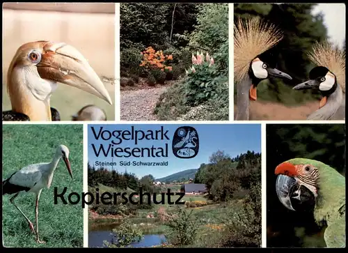 POSTKARTE VOGELPARK WIESENTAL TIERPARK STEINEN BEI LÖRRACH BIRD ZOO Garden Papagei Storch Tukan Parrot Perroquet AK cpa