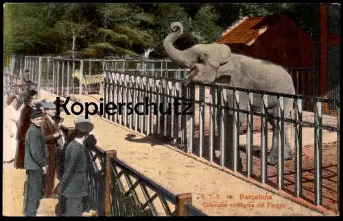 ALTE POSTKARTE BARCELONA JARDIN ZOOLOGIQUE ZOO PARQUE ZOOLOGICO ELEPHANT ZEBRA Zèbre Elefant Elefante Tusker Cebra cpa