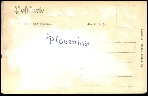 ALTE POSTKARTE GRUSS AUS BERLIN LUSTGARTEN NEUER DOM Kirche church cpa postcard AK Ansichtskarte