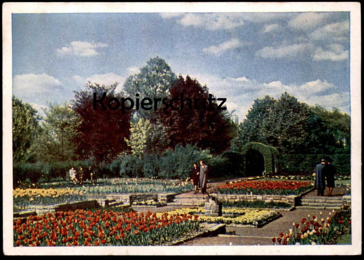 Altere Postkarte Gruga Essen Botanischer Garten Garden Jardin