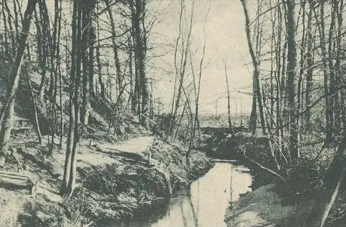 ALTE POSTKARTE HÜTTRUP BEI GREVEN NATURFREUNDEHAUS DER ORTSGRUPPE MÜNSTER WESTFALEN Pfadfinder boy scout Ansichtskarte