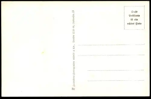 ALTE POSTKARTE BERLIN UNTER DEN LINDEN AUFZIEHEN DER WACHE Militär Musik Musiker Musician Orchestre Uniform Musikkapelle