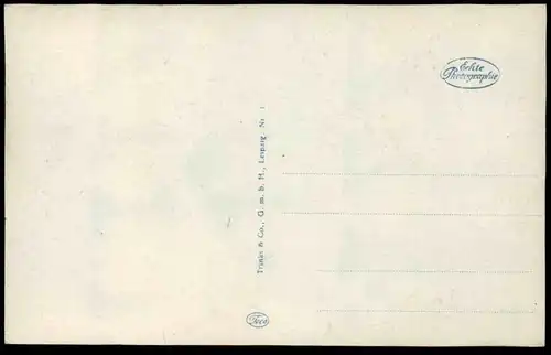 ALTE POSTKARTE OSNABRÜCK SCHLOSS GARTENSEITE Park parc castle château Ansichtskarte AK cpa postcard
