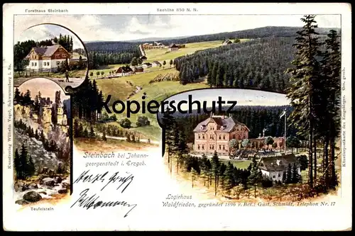 ALTE LITHO POSTKARTE STEINBACH BEI JOHANNGEORGENSTADT LOGIRHAUS WALDFRIEDEN FORSTHAUS TEUFELSTEIN AK cpa Ansichtskarte