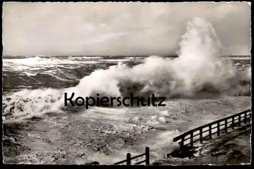 ÄLTERE POSTKARTE SYLT WESTERLAND STURMFLUT FLUT Storm flood high tide débordement inondation North Sea Mer du nord cpa