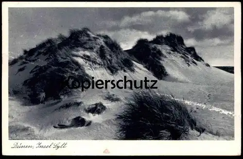 ÄLTERE POSTKARTE INSEL SYLT DÜNEN Düne Dune Dunes Nordsee North Sea cpa postcard AK Ansichtskarte