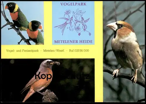 POSTKARTE VOGELPARK TIERPARK METELENER HEIDE METELEN BIRD ZOO Garden jardin zoologique oiseau cpa postcard Ansichtskarte