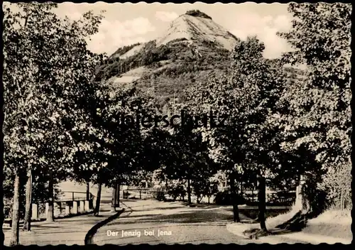 ÄLTERE POSTKARTE DER JENZIG BEI JENA ALLEE Berg Hügel alley cpa postcard AK Ansichtskarte