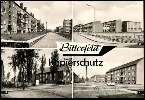 ÄLTERE POSTKARTE BITTERFELD SIEDLUNG WILLI PÖNICKE ANTON SAEFKOW STRASSE OBERSCHULE Wolfen Sachsen-Anhalt cpa AK