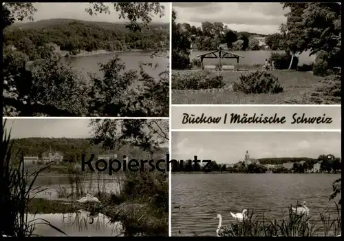 ÄLTERE POSTKARTE BUCKOW MÄRKISCHE SCHWEIZ SCHWÄNE SCHWAN Brandenburg Kreis Strausberg cpa postcard AK Ansichtskarte