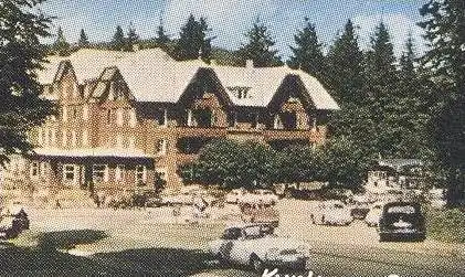 POSTKARTE SCHWARZWALD HOCHSTRASSE UNTERSTMATT DARMSTÄDTER HÜTTE BAZAR BÜHLERHÖHE MARIA-FRIEDEN SAND Route Road Pass