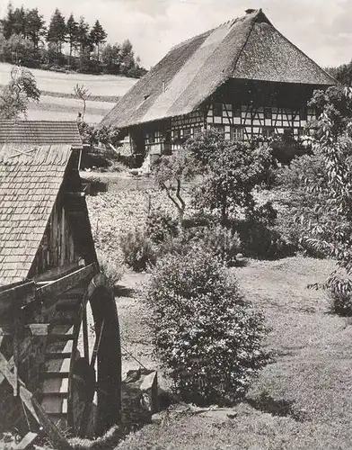 ÄLTERE POSTKARTE MÜHLE IM SCHWARZWÄLDERTAL SCHWARZWALD Wassermühle Schwarzwaldhaus Black Forest Bauernhaus Mill