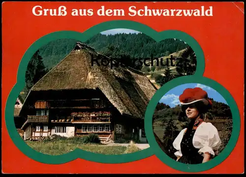 POSTKARTE GRUSS AUS DEM SCHWARZWALD Black Forest Bauernhaus Tracht Traditional Costume Bienenkorb Biene bee abeille cpa