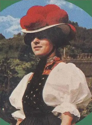 POSTKARTE GRUSS AUS DEM SCHWARZWALD Black Forest Bauernhaus Tracht Traditional Costume Bienenkorb Biene bee abeille cpa