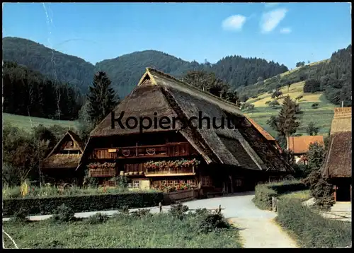 ÄLTERE POSTKARTE SCHWARZWALD SCHWARZWALDHAUS 1987 BAUERNHAUS Biene Bee abeille cpa postcard AK Ansichtskarte