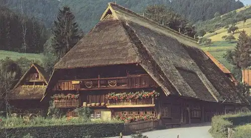 ÄLTERE POSTKARTE SCHWARZWALD SCHWARZWALDHAUS 1987 BAUERNHAUS Biene Bee abeille cpa postcard AK Ansichtskarte