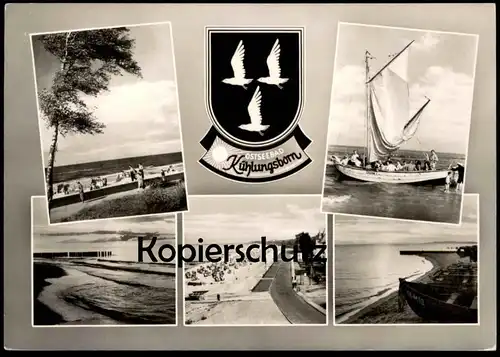 ÄLTERE POSTKARTE KÜHLUNGSBORN SEGELSCHIFF DIANA Wappen Möwe sailing boat bateau à voiles blason gull mouette postcard AK