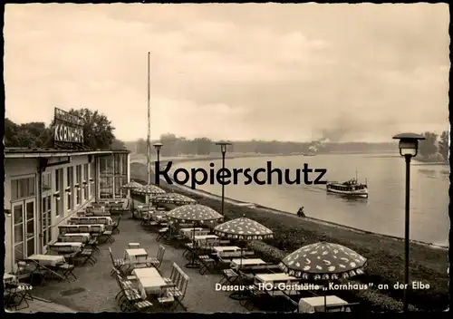 ÄLTERE POSTKARTE DESSAU HO GASTSTÄTTE KORNHAUS AN DER ELBE Dampfer Schiff Steamship ship bateau à vapeur cpa postcard AK