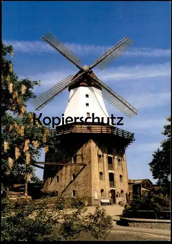 POSTKARTE KAPPELN AN DER SCHLEI WINDMÜHLE Mühle Windmolen Molen moulin à vent mill windmill cpa postcard Ansichtskarte