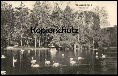 ALTE POSTKARTE DONAUESCHINGEN SCHLOSSPARK 1933 Schwäne Schwan swan cygne cpa postcard AK Ansichtskarte