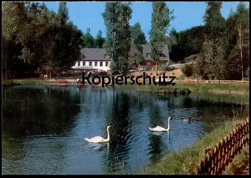 ÄLTERE POSTKARTE MANDERSCHEID SCHWÄNE AN DER HEIDSMÜHLE bei Wittlich Mühle Muehle moulin mill swan cygne cpa postcard AK