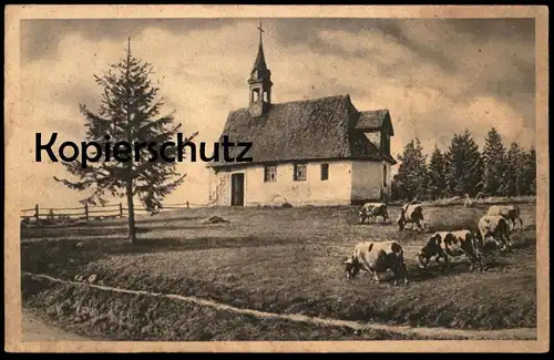 ALTE POSTKARTE MARTINSKAPELLE BEI TRIBERG SCHÖNWALD FURTWANGEN SCHWARZWALD Kuh Kühe cow cows cpa postcard AK