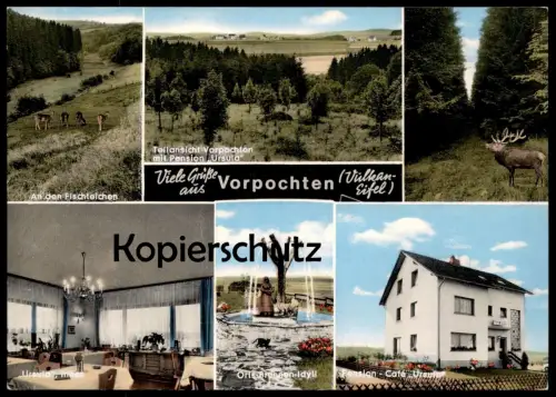 ÄLTERE POSTKARTE VORPOCHTEN EIFEL ULMEN PENSION URSULA ORTS-BRUNNEN Hirsch Deer Chevreuil Roe Doe Ansichtskarte postcard