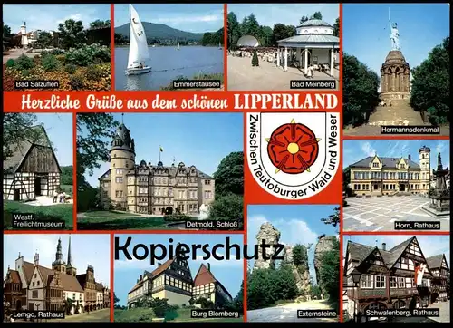 ÄLTERE POSTKARTE GRÜSSE AUS DEM SCHÖNEN LIPPERLAND DETMOLD BLOMBERG HORN Wappen Blason AK Ansichtskarte cpa postcard