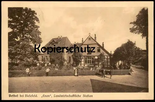 ALTE POSTKARTE BETHEL BEI BIELEFELD ENON LANDWIRTSCHAFTLICHE STATION Kuh cow vache Ansichtskarte AK postcard Bauernhaus