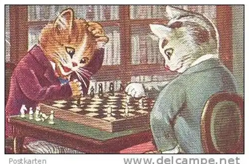 ALTE POSTKARTE JOUEURS D'ÉCHECS KATZEN SPIELEN SCHACH CATS PLAYING CHESS Katze cat chat chats cpa postcard