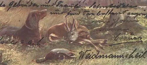 ALTE KÜNSTLER POSTKARTE SERIE HAAR- UND FEDERWILD 1903 MÜLLER JUN. MÜNCHEN JAGD Jagdhund deer hunting chasse postcard AK