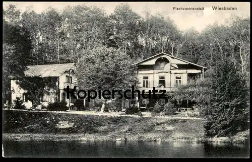 ALTE POSTKARTE WIESBADEN FISCHZUCHTANSTALT Fischzucht fish farm breeding pisciculture Fisch Ansichtskarte cpa postcard