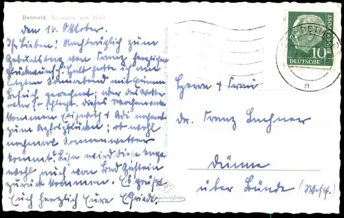 ÄLTERE POSTKARTE DETMOLD SCHWÄNE AM WALL JUNGE KIND child boy enfant cpa postcard Ansichtskarte AK