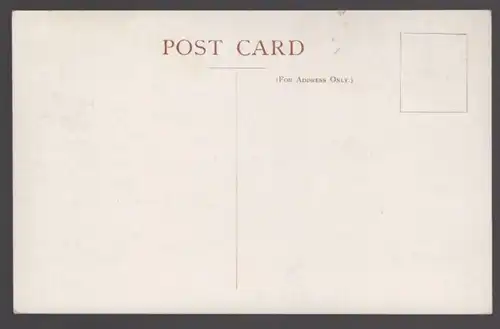 ALTE POSTKARTE A WHITE NILE CROCODILE Krokodil croco alligator cpa AK Ansichtskarte postcard
