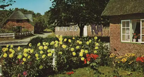 ÄLTERE POSTKARTE INSEL SYLT FRIESENHAUS IN KEITUM Vorgarten Blumen Reetdach Haus cpa AK Ansichtskarte postcard