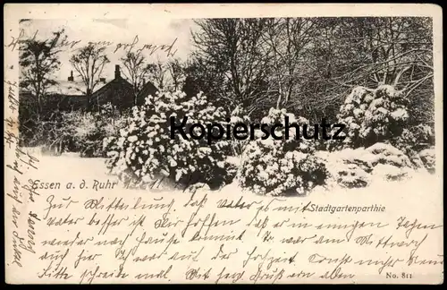 ALTE POSTKARTE ESSEN AN DER RUHR STADTGARTENPARTHIE IM WINTER Stadtgartenpartie Schnee postcard AK Ansichtskarte cpa