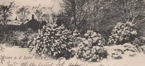 ALTE POSTKARTE ESSEN AN DER RUHR STADTGARTENPARTHIE IM WINTER Stadtgartenpartie Schnee postcard AK Ansichtskarte cpa
