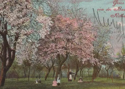 ALTE POSTKARTE GRUSS VON DER BAUMBLÜTE RÖTHA STEMPEL FREIHERRLICH VON FRIESEN'SCHE OBSTWEINSCHÄNKE INH. HÄNDLER