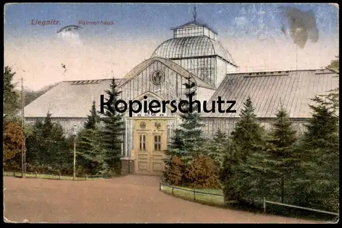 ALTE POSTKARTE LIEGNITZ PALMENHAUS REKLAME KAUFHAUS MORITZ GUTTFELD SEIT 50 JAHREN Legnica postcard Ansichtskarte cpa