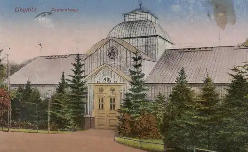 ALTE POSTKARTE LIEGNITZ PALMENHAUS REKLAME KAUFHAUS MORITZ GUTTFELD SEIT 50 JAHREN Legnica postcard Ansichtskarte cpa