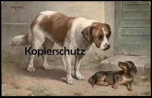 ALTE POSTKARTE BERNHADINER UND DACKEL CARL REICHERT dachshund Teckel dog chien cpa postcard Ansichtskarte AK