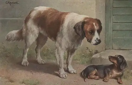 ALTE POSTKARTE BERNHADINER UND DACKEL CARL REICHERT dachshund Teckel dog chien cpa postcard Ansichtskarte AK