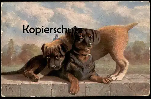 ALTE POSTKARTE HUNDE BITTE RECHT FREUNDLICH HUNDEGRUPPEN Hund dog chien dogs Dackel ? Welpen cpa postcard Ansichtskarte
