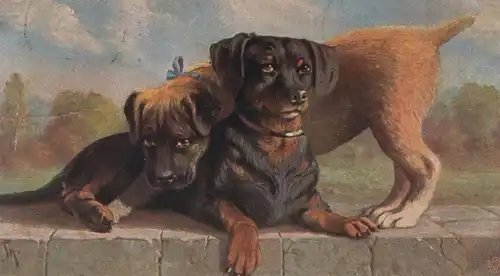 ALTE POSTKARTE HUNDE BITTE RECHT FREUNDLICH HUNDEGRUPPEN Hund dog chien dogs Dackel ? Welpen cpa postcard Ansichtskarte